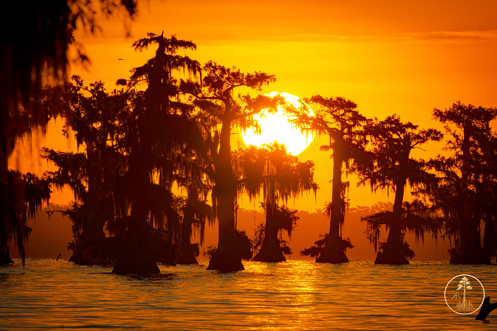 Wallpaper Bundle (Digital Set)