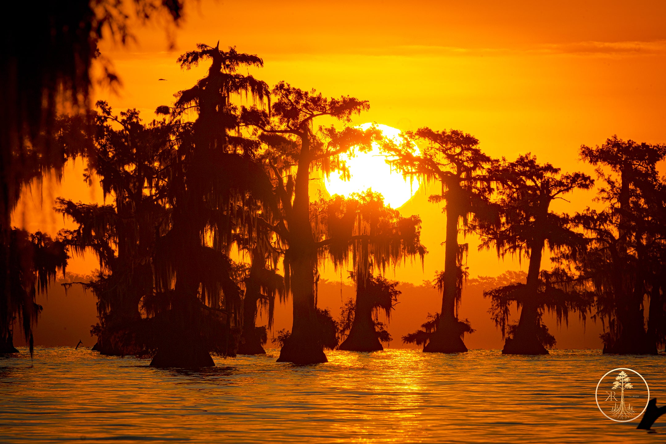 Wallpaper Bundle (Digital Set)