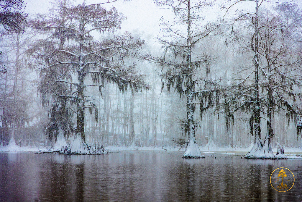 River Road Testament - First Edition (Presale)