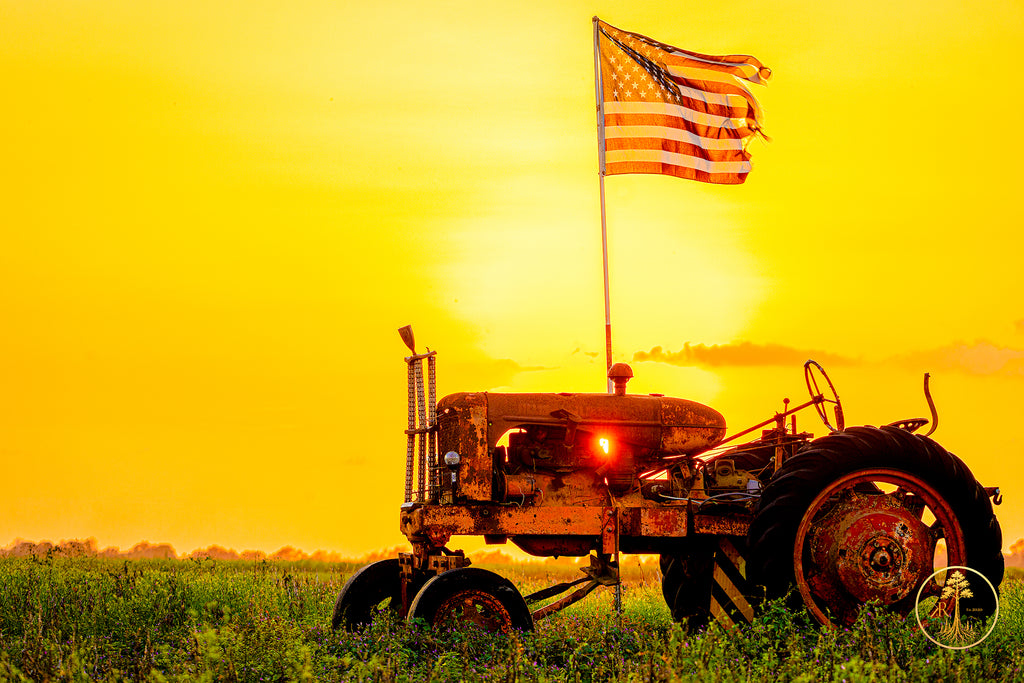 Wallpaper Bundle (Digital Set)