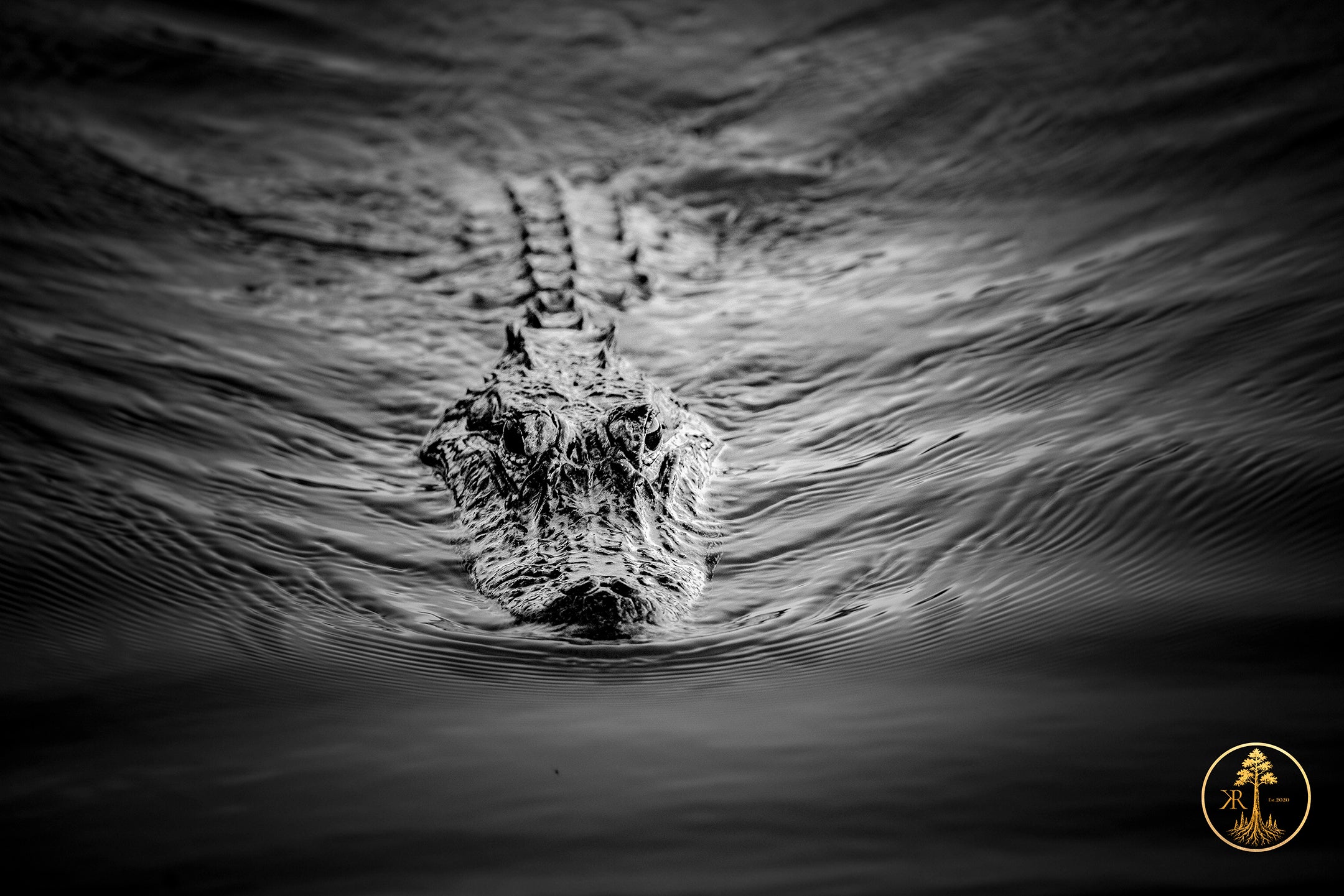 River Road Testament - First Edition (Presale)