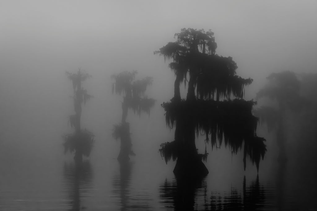 River Road Testament - First Edition (Presale)