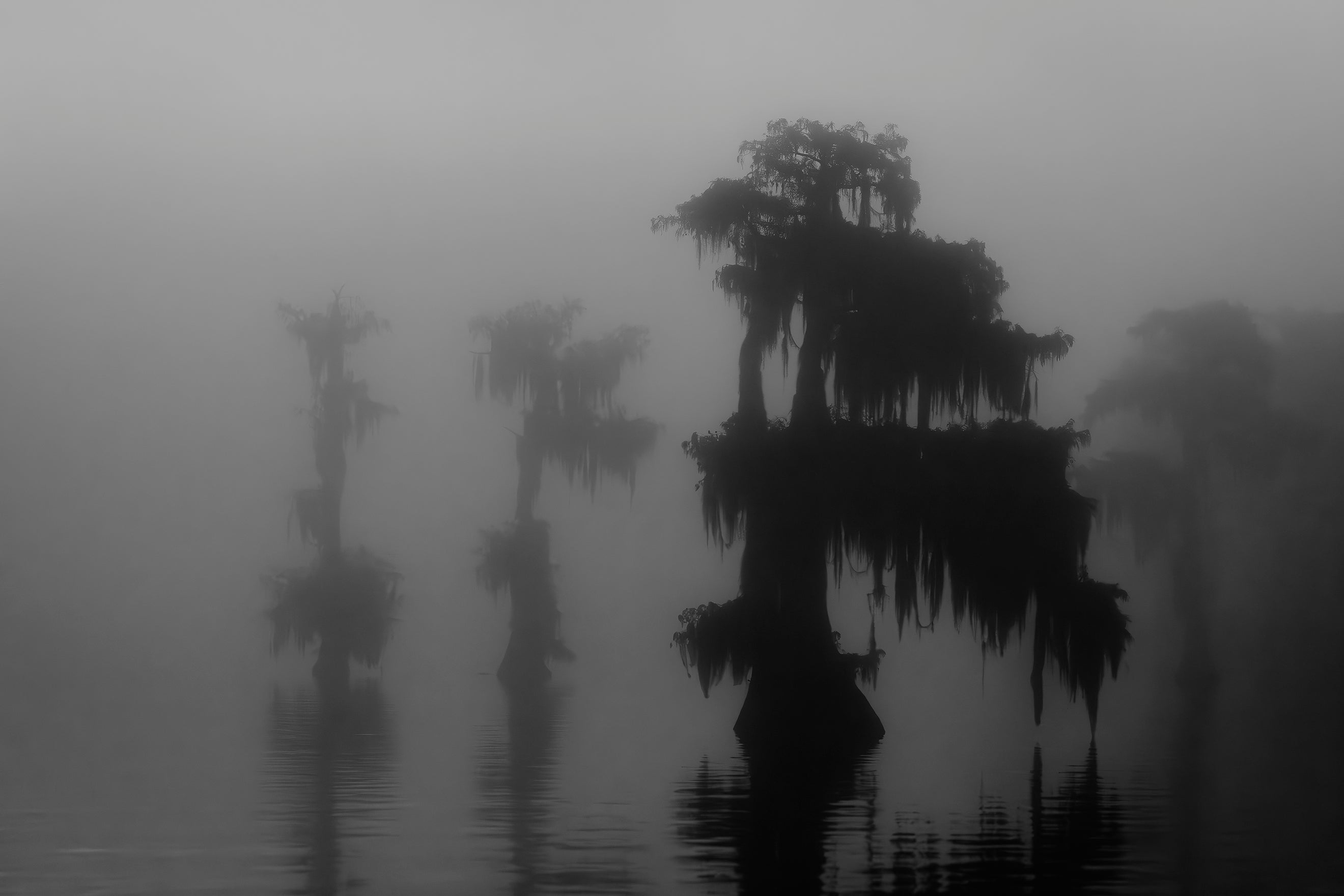 River Road Testament - First Edition (Presale)