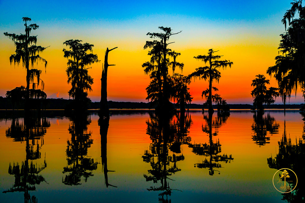 River Road Testament - First Edition (Presale)