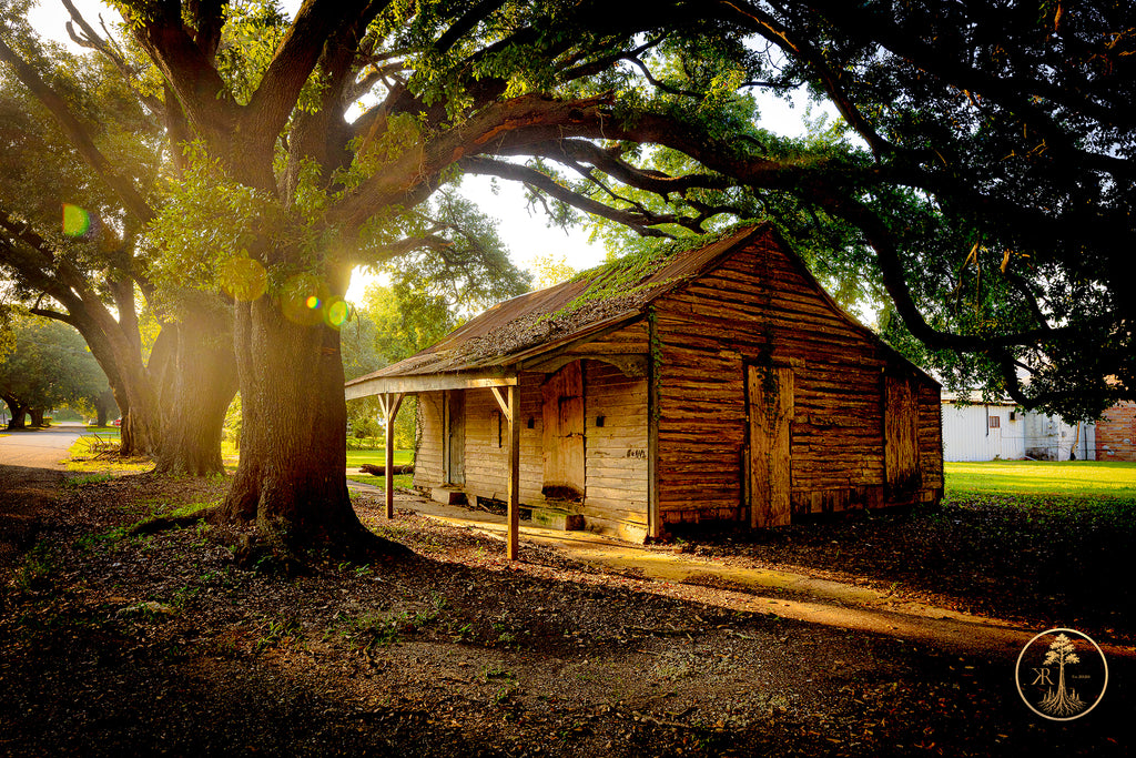 Wallpaper Bundle (Digital Set)