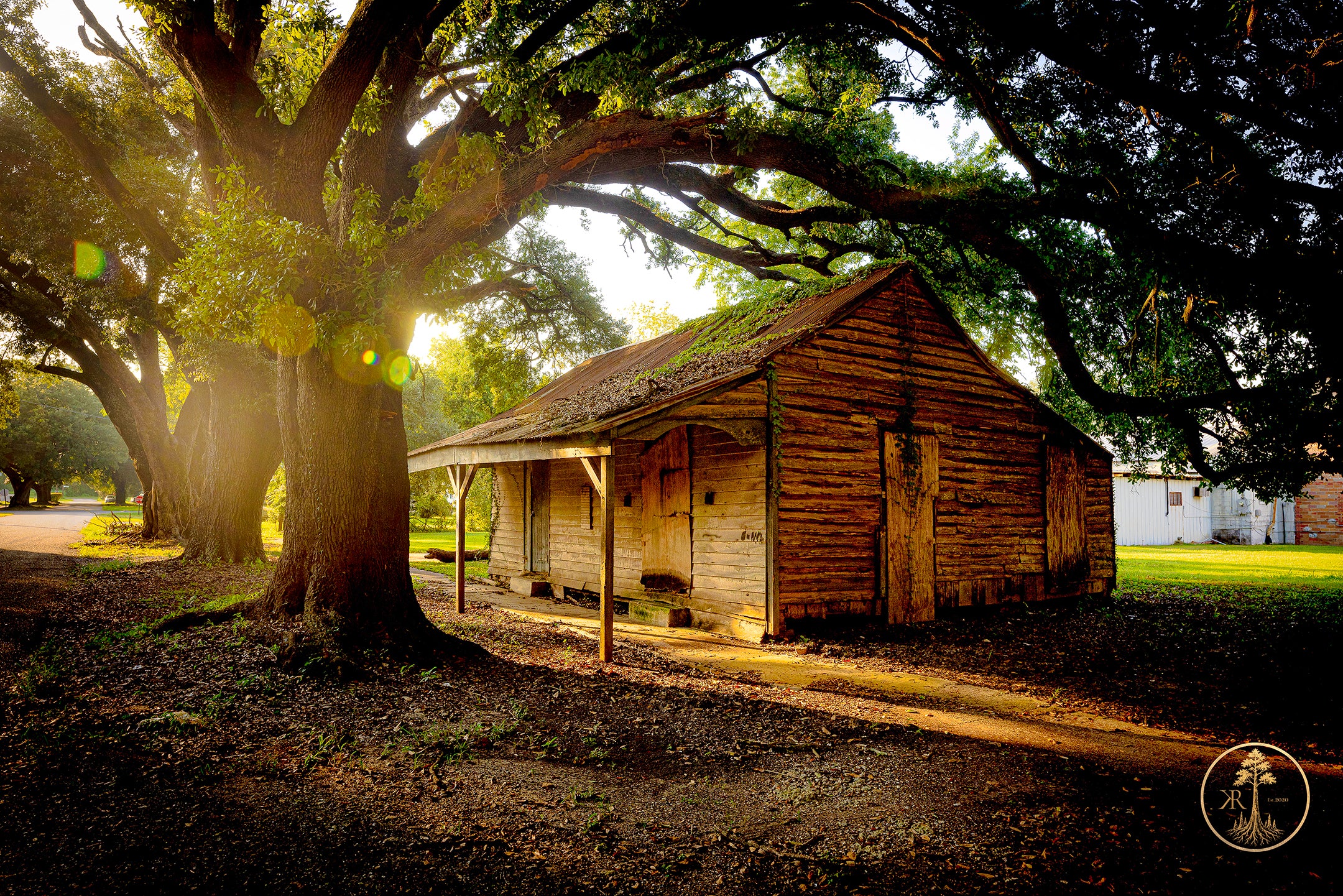 Wallpaper Bundle (Digital Set)