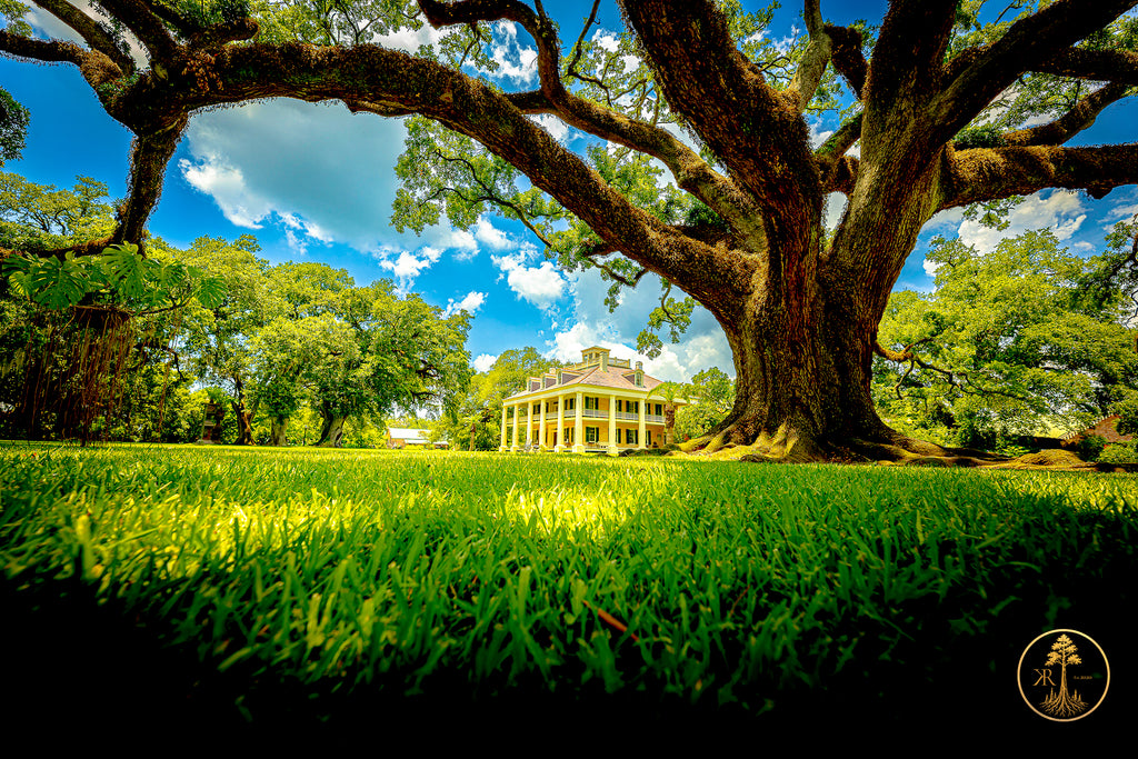 Wallpaper Bundle (Digital Set)