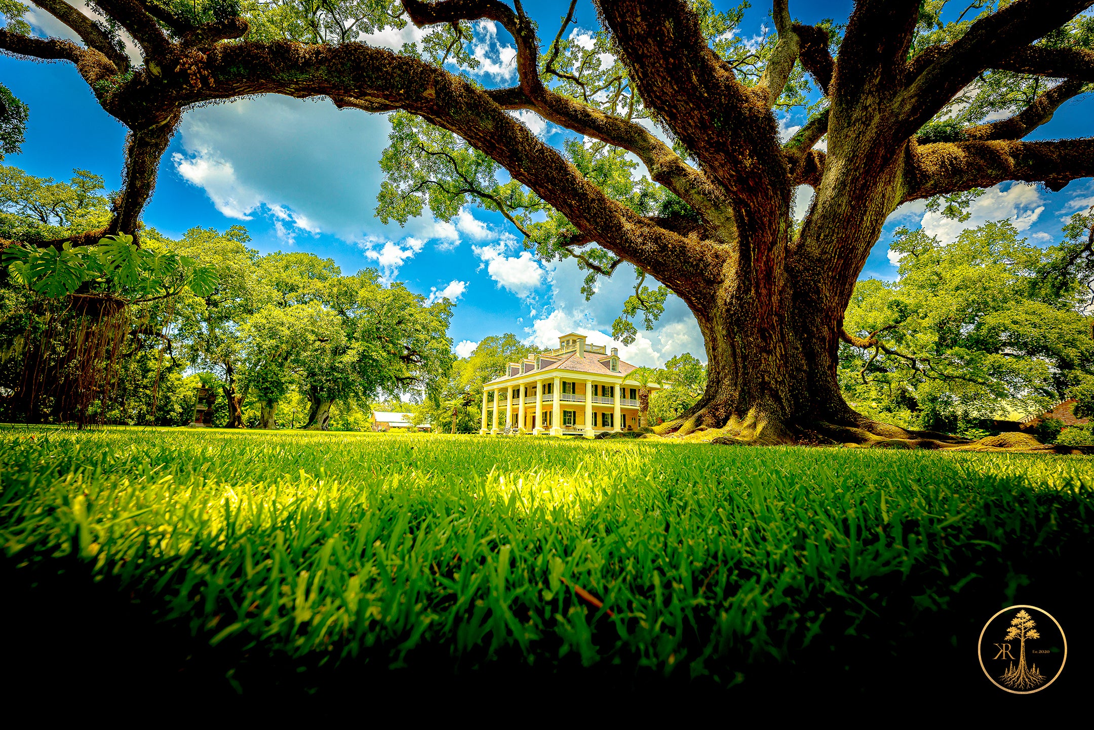 Wallpaper Bundle (Digital Set)