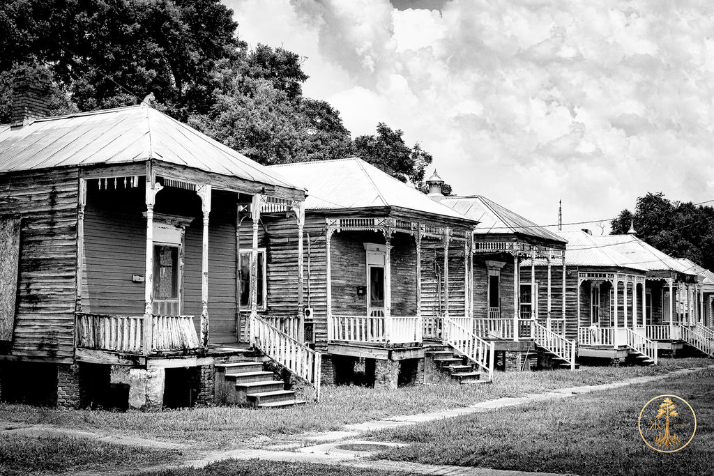 River Road Testament - First Edition (Presale)